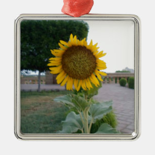 Zonnebloem Kunst Afdrukken Metalen Ornament