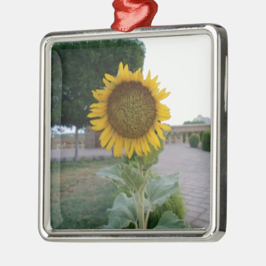 Zonnebloem Kunst Afdrukken Metalen Ornament (Links)