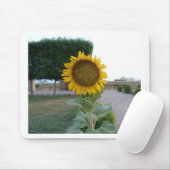 Zonnebloem Kunst Afdrukken Muismat (Met muis)