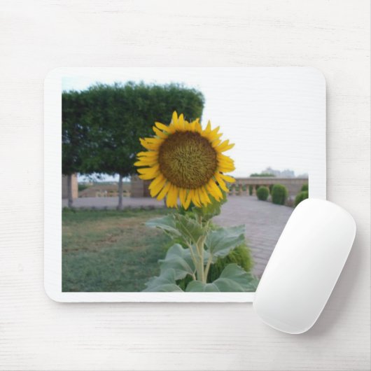 Zonnebloem Kunst Afdrukken Muismat (Met muis)