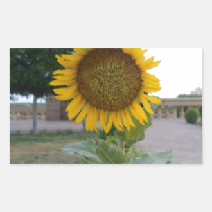 Zonnebloem Kunst Afdrukken Rechthoekige Sticker