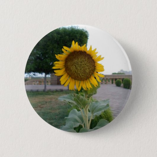 Zonnebloem Kunst Afdrukken Ronde Button 5,7 Cm (Voorkant)