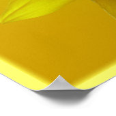 Zonnebloem Kunst Afdrukken Schitterende Ventilator Poster (Hoek)