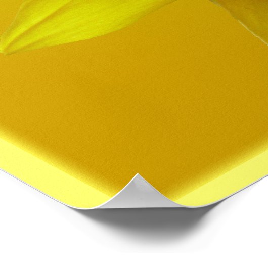 Zonnebloem Kunst Afdrukken Schitterende Ventilator Poster (Hoek)