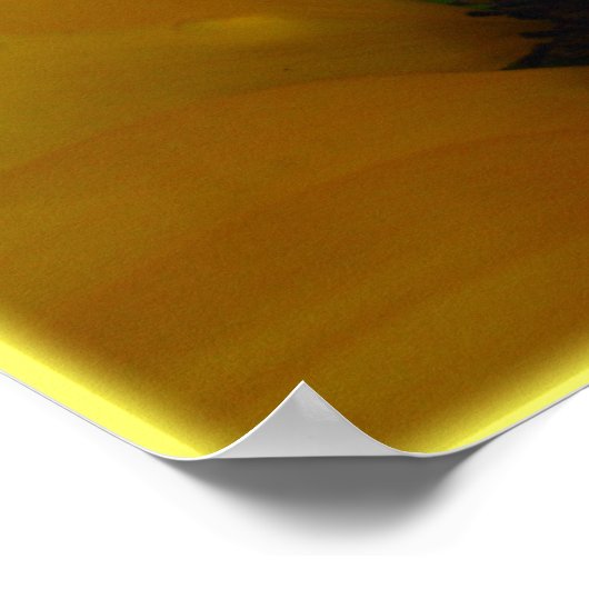 Zonnebloem Kunst Afdrukken Schitterende Ventilator Poster (Hoek)