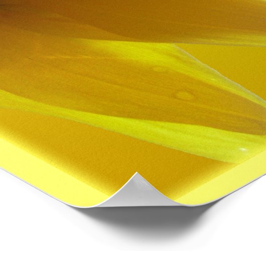 Zonnebloem Kunst Afdrukken Schitterende Ventilator Poster (Hoek)