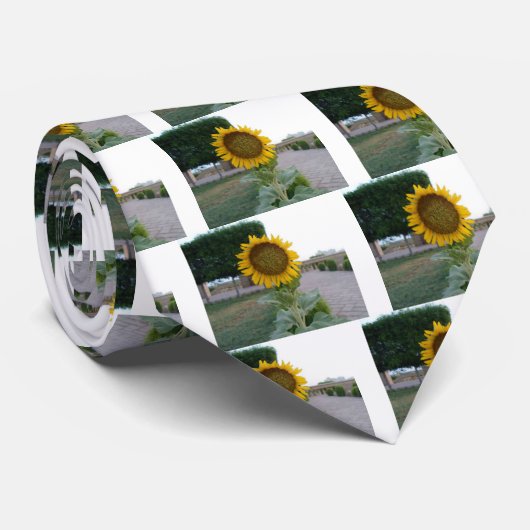 Zonnebloem Kunst Afdrukken Stropdas (Opgerold)