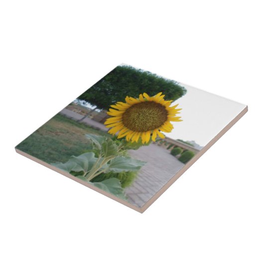 Zonnebloem Kunst Afdrukken Tegeltje (Zijkant)