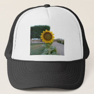 Zonnebloem Kunst Afdrukken Trucker Pet