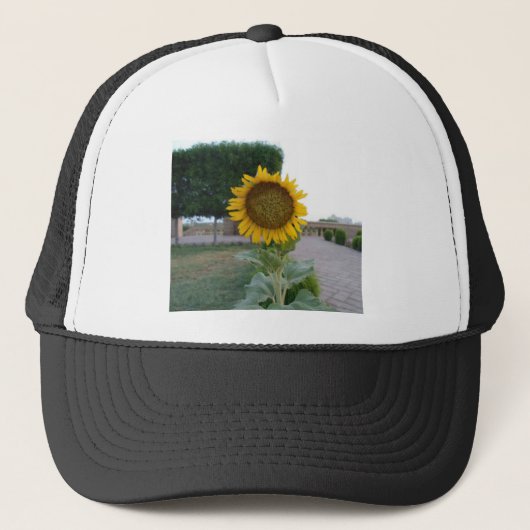Zonnebloem Kunst Afdrukken Trucker Pet (Voorkant)