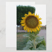 Zonnebloem Kunstprint Briefpapier (Voorkant / Achterkant)