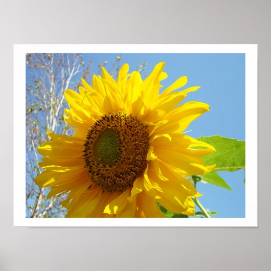 Zonnebloem kunstprint Bright Summer Geel Bloemmoti Poster (Voorkant)