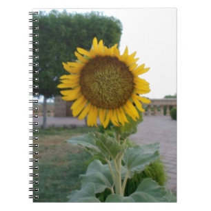 Zonnebloem Kunstprint Notitieboek