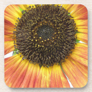Zonnebloem Kurk Onderzetter