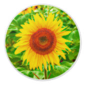 Zonnebloem Land Geel Groen Helderbloem Keramische Knop (Voorkant)