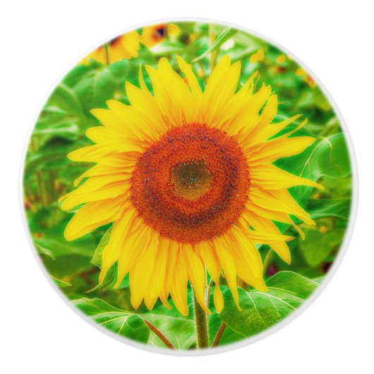 Zonnebloem Land Geel Groen Helderbloem Keramische Knop (Voorkant)