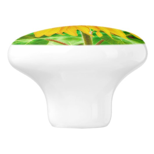 Zonnebloem Land Geel Groen Helderbloem Keramische Knop (Zijkant)