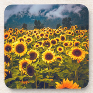 Zonnebloem Landschap Flowers Yellow Bier Onderzetter