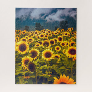 Zonnebloem Landschap Flowers Yellow Legpuzzel