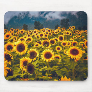 Zonnebloem Landschap Flowers Yellow Muismat