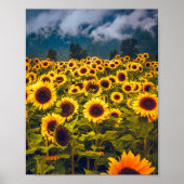 Zonnebloem Landschap Flowers Yellow Poster (Voorkant)