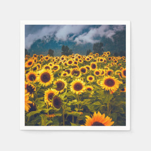 Zonnebloem Landschap Flowers Yellow Servet