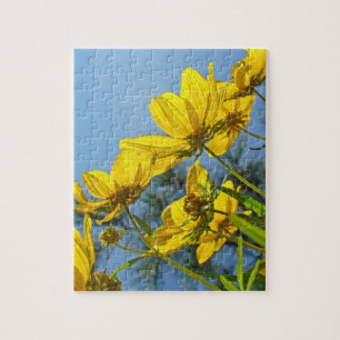 Zonnebloem, langkorrelig, Tickseed Legpuzzel