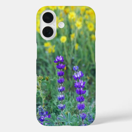 Zonnebloem, lavender en geel Case-Mate iPhone case (Achterkant)