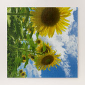 Zonnebloem Legpuzzel (Horizontaal)