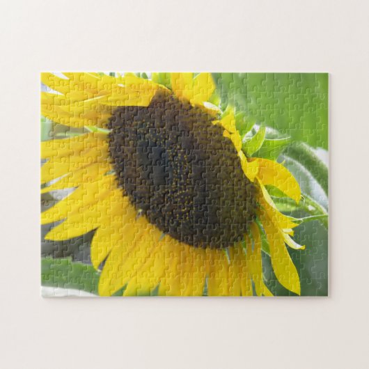 Zonnebloem Legpuzzel (Horizontaal)
