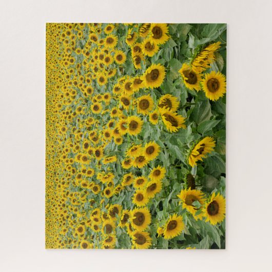 Zonnebloem Legpuzzel (Verticaal)