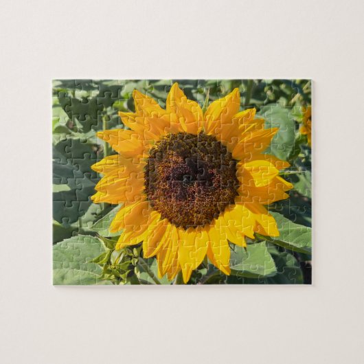 Zonnebloem Legpuzzel (Horizontaal)