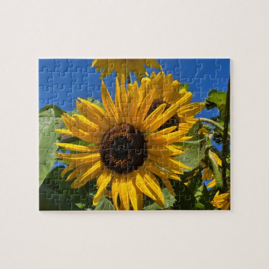 Zonnebloem Legpuzzel (Horizontaal)