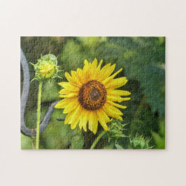 Zonnebloem Legpuzzel