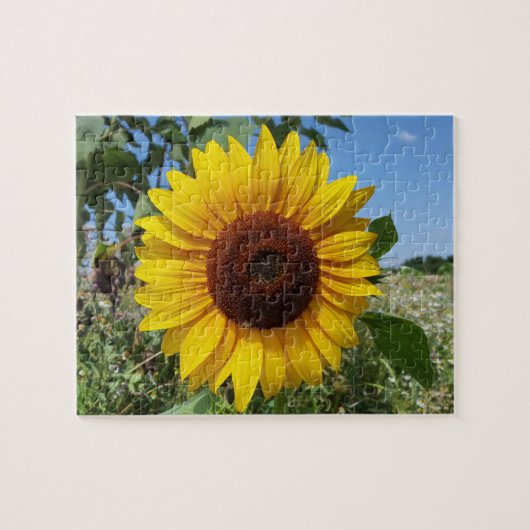 Zonnebloem Legpuzzel (Horizontaal)