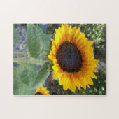  zonnebloem legpuzzel (Horizontaal)