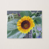 zonnebloem legpuzzel (Horizontaal)