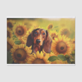 Zonnebloem Liefde, Bruine Langharige Dachshund Tissuepapier