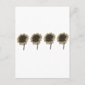 Zonnebloem Live, Lach, Liefde Briefkaart (Voorkant)