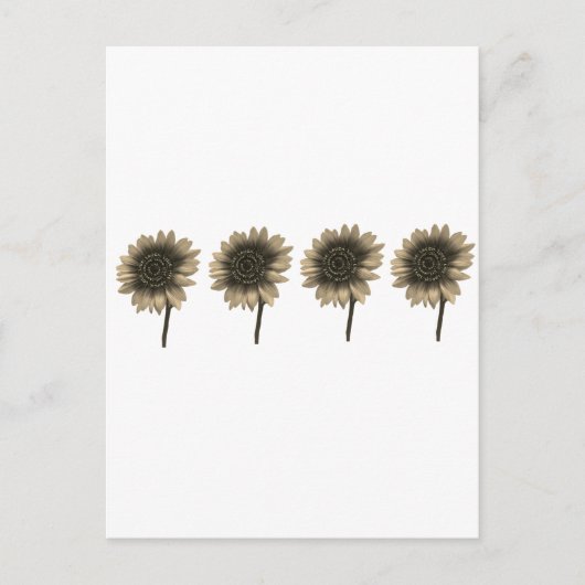 Zonnebloem Live, Lach, Liefde Briefkaart (Voorkant)