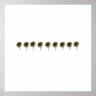 Zonnebloem Live, Lach, Liefde Folie Afdrukken