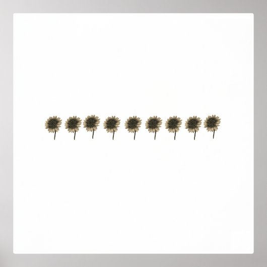 Zonnebloem Live, Lach, Liefde Folie Afdrukken (Voorkant)