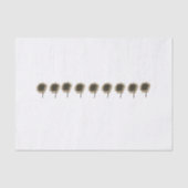 Zonnebloem Live, Lach, Liefde Tissuepapier (Voorkant)