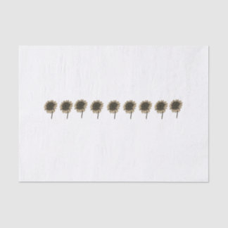 Zonnebloem Live, Lach, Liefde Tissuepapier