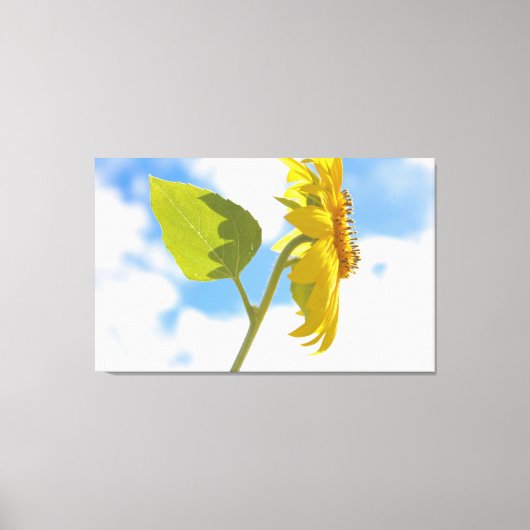 Zonnebloem Lucht Canvas Afdruk (Voorkant)
