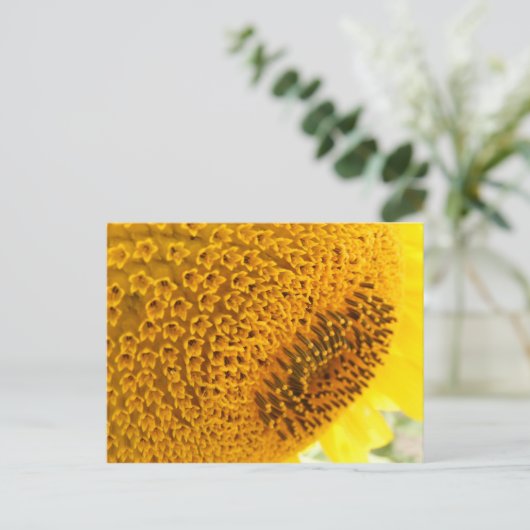 Zonnebloem - macro briefkaart (Staand voorkant)