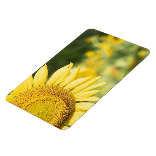 Zonnebloem Magneet (Linkerzijde)