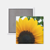 Zonnebloem Magneet (Voorkant / Achterkant)