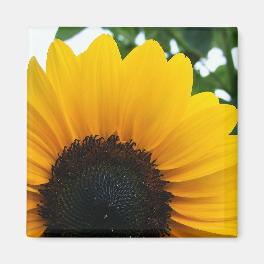 Zonnebloem Magneet (Voorkant)