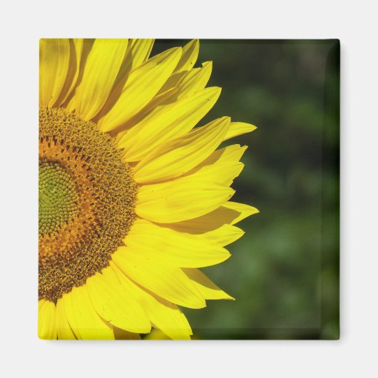 Zonnebloem Magneet (Voorkant)